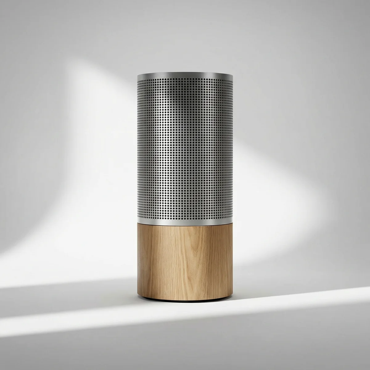 Bang & Olufsen Speaker